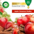 thumbnail image 2 of Air Wick Scented Oil Air Freshener Refills, Apple Cinnamon, 9 ct., 2 of 11