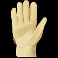 thumbnail image 3 of Plainsman Premium Cowhide Leather Gloves, Assorted Sizes (6 pk.), 3 of 5
