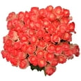 thumbnail image 6 of Member's Mark Illusion Roses, 96 stems, Choose color variety, 6 of 7