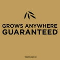 thumbnail image 4 of Scotts EZ Seed Patch & Repair Tall Fescue Lawns 25 lb., 4 of 11