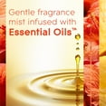 thumbnail image 5 of Glade Automatic Spray Air Freshener Refills, Hawaiian Breeze and  Exotic Tropical Blossoms, 4 ct., 5 of 8