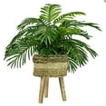 thumbnail image 1 of Faux 32" Phoenix Palm in Tri-Colored Tripod Basket Stand, 1 of 6