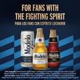 thumbnail image 5 of Modelo Especial Mexican Lager Beer, 12 fl. oz. can, 24 pk., 5 of 7