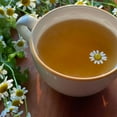 thumbnail image 4 of Bigelow Cozy Chamomile Herbal Tea, 100 ct., 4 of 7