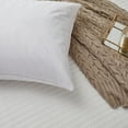 thumbnail image 6 of Serta 2-Pack Euro Square Feather Pillow Insert, 6 of 7