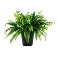 thumbnail image 1 of Faux 26" Fern and Eucalyptus Mix in Black Plastic Pot, 1 of 7