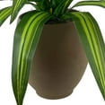 thumbnail image 2 of Faux 5' Deluxe Dracaena Floor Plant in Brown Tuscany Pottery Pot, 2 of 5
