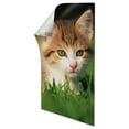 thumbnail image 3 of Command&trade; Poster Strips, Small, White, 48ct., 3 of 3