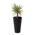 thumbnail image 8 of Veradek Stature Tall 26" Planter, 8 of 10