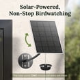 thumbnail image 4 of Birdfy Solar Powered Smart Hummingbird Feeder w/ AI Recognition, 4 of 12