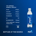 thumbnail image 2 of FOY Springs Naturally Alkaline Bottled Spring Water, 500 mL, 24 pk., 2 of 8