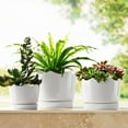 thumbnail image 1 of Member's Mark Ceramic Planters with Saucers, Set of 3, 1 of 9