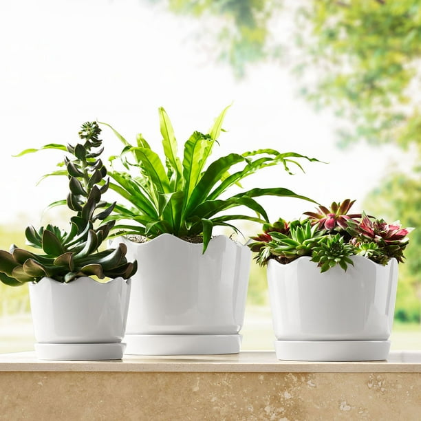 Member's Mark Ceramic Planters with Saucers, Set of 3 - Samsclub.com
