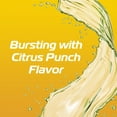 thumbnail image 3 of Big Burst Citrus Punch Drink, 16 fl. oz., 24 pk., 3 of 7