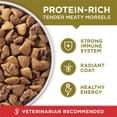 thumbnail image 6 of Purina ONE SmartBlend Natural Lamb and Rice, Adult Dry Dog Food, 44 lbs., 6 of 10