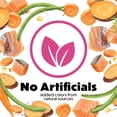thumbnail image 6 of Purina Beneful Originals, Natural Salmon Dog Food, Dry Formula, 36 lbs., 6 of 12