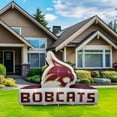 thumbnail image 2 of Logo Brands Texas State Bobcats Pre-Lit 7’x10’ Team Inflatable, 2 of 6