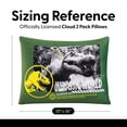 thumbnail image 7 of Kids Licensed 2-Pack Cloud Plush Pillow Set, 20" x 26", 7 of 7
