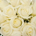 thumbnail image 3 of Roses - White - 100 Stems, 3 of 6