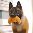 thumbnail image 8 of P.L.A.Y Pet Plush Toys, Canine Café, 4 pc., Bundle, 8 of 9