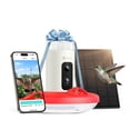 thumbnail image 1 of Birdfy Solar Powered Smart Hummingbird Feeder w/ AI Recognition, 1 of 12