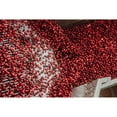 thumbnail image 5 of Member's Mark Clinical Strength Cranberry Capsules, 500 mg, 150 ct., 5 of 8