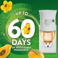 thumbnail image 3 of Air Wick Plug In Scented Oil Air Freshener, Hawaii Exotic Papaya & Hibiscus Flower, 2 warmers + 8 refills, 3 of 11