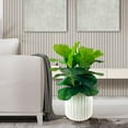 thumbnail image 4 of Artificial Premium Fiddle Leaf Fig Plant in Off White Pot, 4 of 5