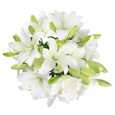 Member's Mark LA Hybrid Lilies, choose color and stem count