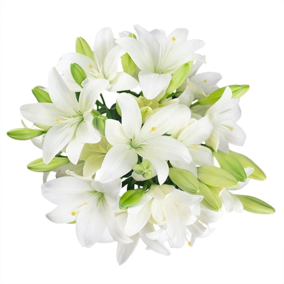 Member's Mark LA Hybrid Lilies, choose color and stem count