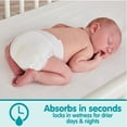 thumbnail image 7 of Member's Mark Premium Baby Diapers, Sizes Newborn - 7, 7 of 10