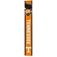 thumbnail image 1 of NCAA 8" x 60" Reversible Porch Greeter Sign, 1 of 5