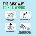 thumbnail image 9 of Roundup For Lawns1 with QuickHand Sprayer, 1.5L, 9 of 11