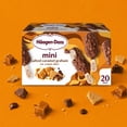 thumbnail image 9 of Haagen-Dazs Salted Caramel Graham Mini Ice Cream Bars, 20 ct., 9 of 9
