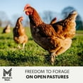 thumbnail image 7 of Member's Mark Pasture Raised Grade A Large Brown Eggs, 1.5 dozen, 7 of 7
