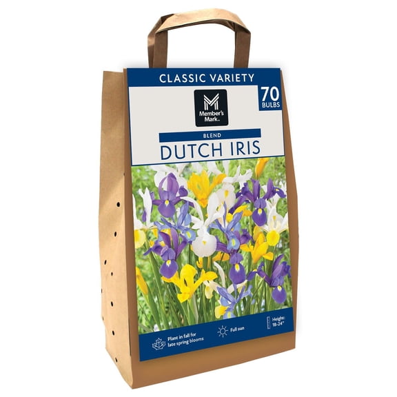 Member's Mark Dutch Iris Blend Dormant Bulbs, 70pk