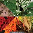 thumbnail image 2 of 10" Fall Centerpiece in Bronc Pot, 2 of 5