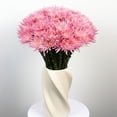 thumbnail image 2 of Member's Mark Painted Mums,  choose color and stem count, 2 of 4
