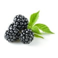 thumbnail image 2 of Blackberries 18 oz., 2 of 5