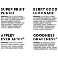 thumbnail image 3 of Honest Kids Organic Fruit Juice Drink Boxes Variety Pack 6 fl. oz., 40 pk., 3 of 6