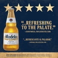 thumbnail image 5 of Modelo Especial Mexican Lager Beer, 12 fl. oz. bottle, 12 pk., 5 of 6