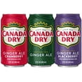 thumbnail image 6 of Canada Dry Winter Variety Pack 12 fl. oz., 36 pk., 6 of 9