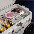 thumbnail image 12 of Igloo 65 Quart Yukon Performance Cooler with Wheels, 12 of 25