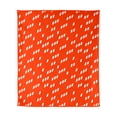 thumbnail image 3 of Logo Brands Cleveland Browns 60"x70" Super Plush Blanket, 3 of 7