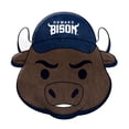 thumbnail image 1 of Logo Brands Howard Bison Puff Pillow, 1 of 5