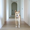 thumbnail image 4 of Select Surfaces Sedona Rigid Core SPC Vinyl Plank Flooring, 4 of 10