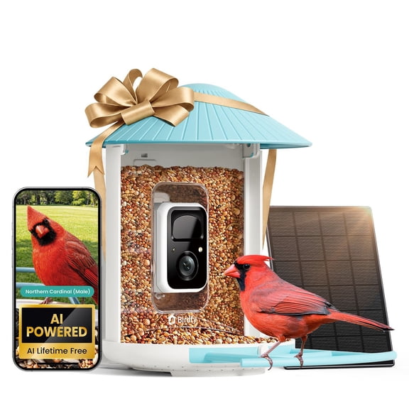 Birdfy Standard Smart Bird Feeder