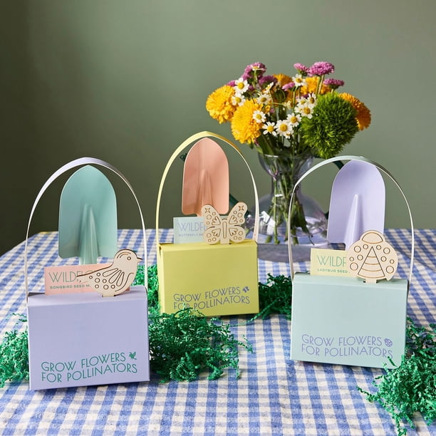 Modern Sprout Pollinator Garden Kit, 3-Pack - Samsclub.com