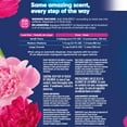 thumbnail image 3 of Ensueño Max Liquid Fabric Softener, Spring Fresh Scent, 300 loads, 304 fl. oz., 3 of 7