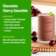 thumbnail image 4 of Orgain Organic 21g Plant-Based Protein Powder, Creamy Chocolate Fudge 2.74 lbs., 4 of 8